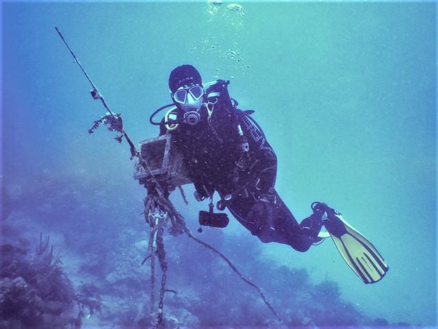 Goldberg was recently named a 'Sea Hero' by SCUBA Diving magazine.