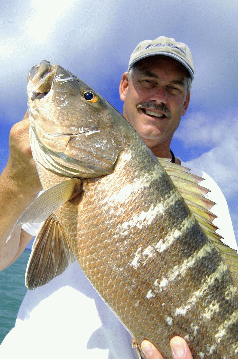 WRECK AND REEF FISHING DREAM CATCHER CHARTERS - Image 2