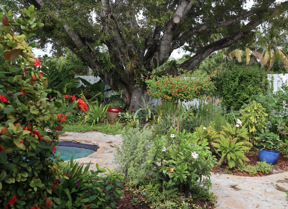 Key West Garden Club garden tour