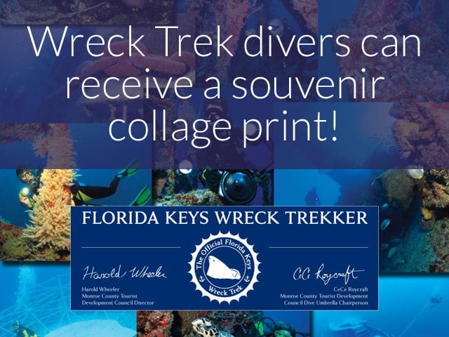 Wreck Trek divers can receive a souvenir collage print!